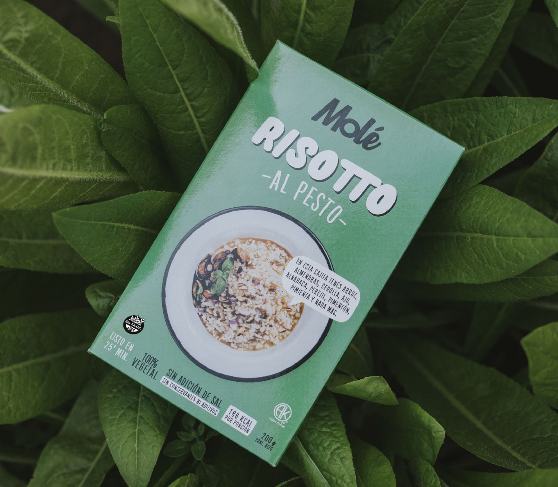 RISOTTO AL PESTO RISOTTO AL PESTO